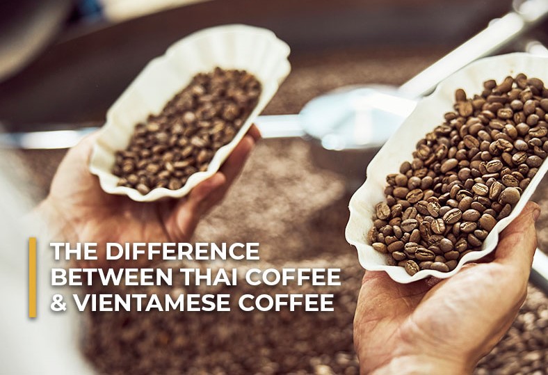 thai-coffee-vs-vietnamese-coffee-which-one-is-the-better-choose
